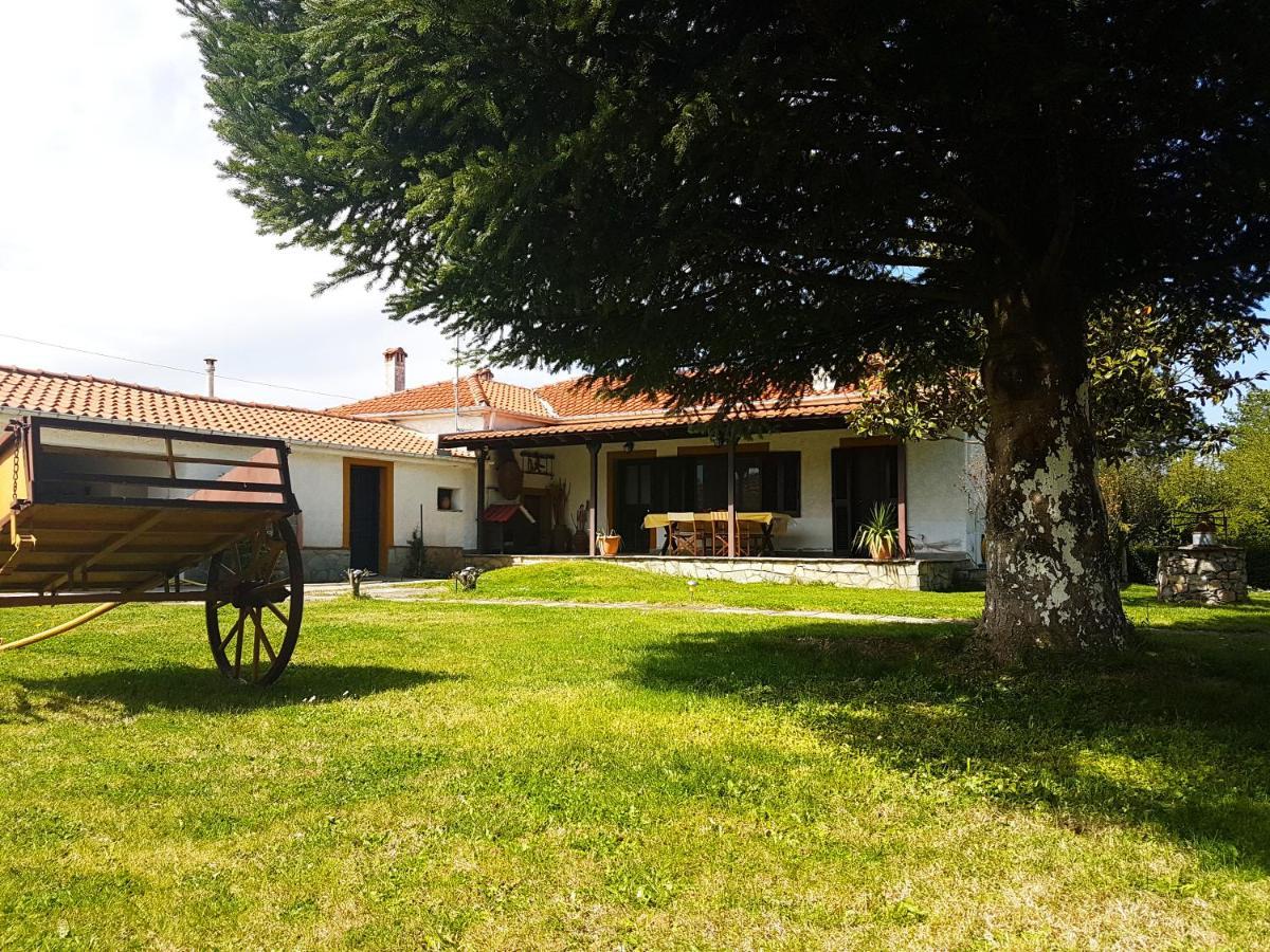 Yiayia'S Rina'S Lovely Cottage Pteria Buitenkant foto